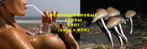 марки nbome Каменка