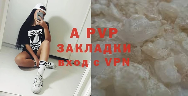 спиды Каменногорск