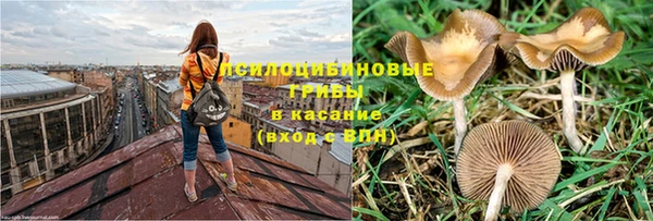 марки nbome Каменка