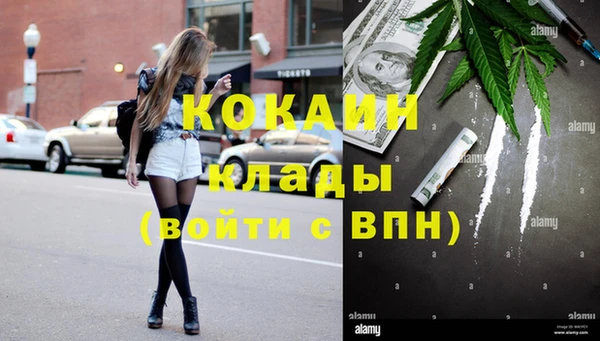 спиды Каменногорск