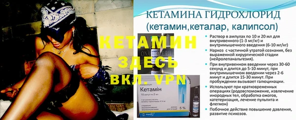 спиды Каменногорск