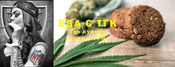 спиды Каменногорск