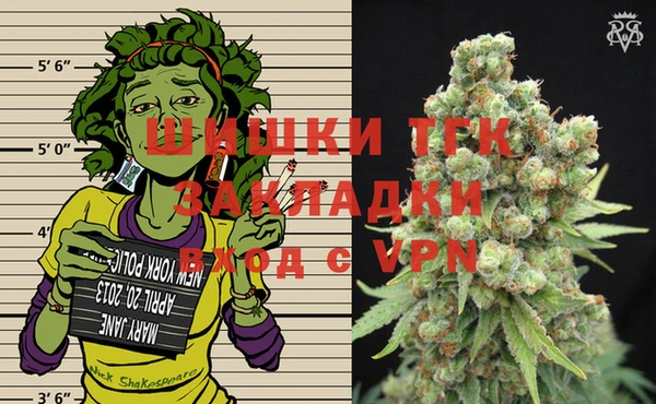 спиды Каменногорск