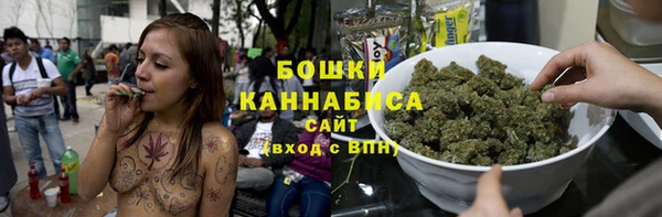 спиды Каменногорск