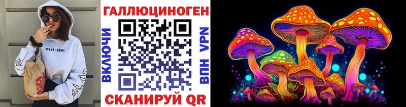 Псилоцибиновые грибы мицелий Купить где Бирюч